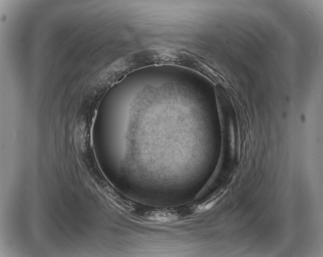 X0000086060223200703231250