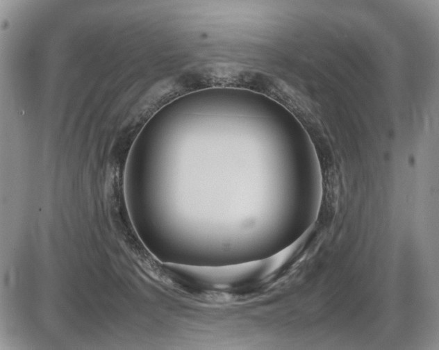 X0000086060225200703231250