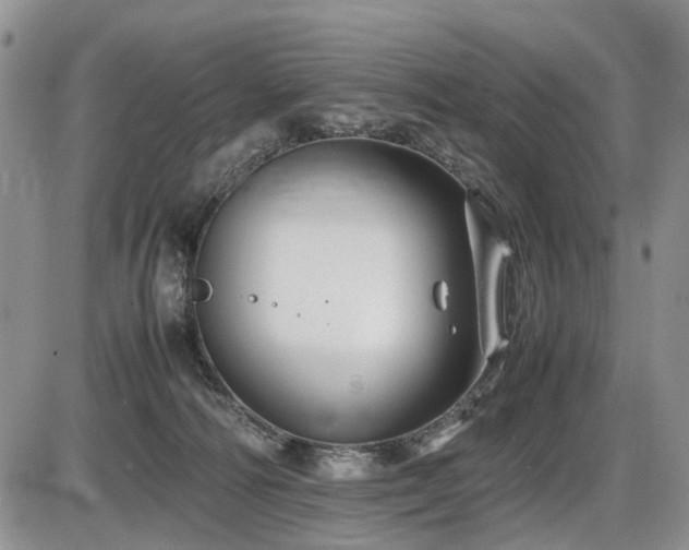 X0000086060226200703231250