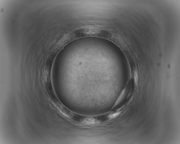 X0000086060227200703231250