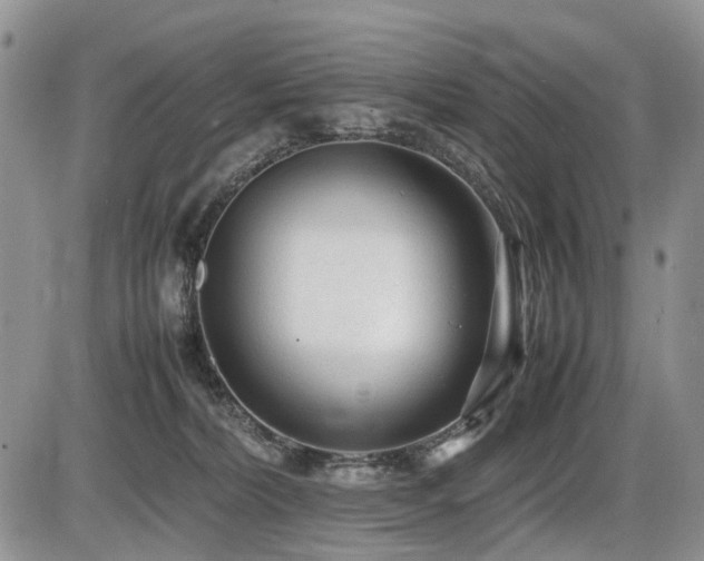 X0000086060228200703231250