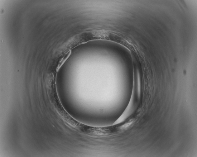 X0000086060229200703231250