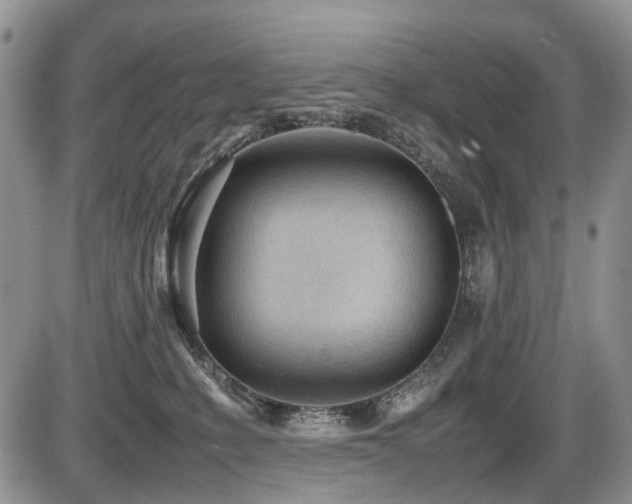 X0000086060231200703231250