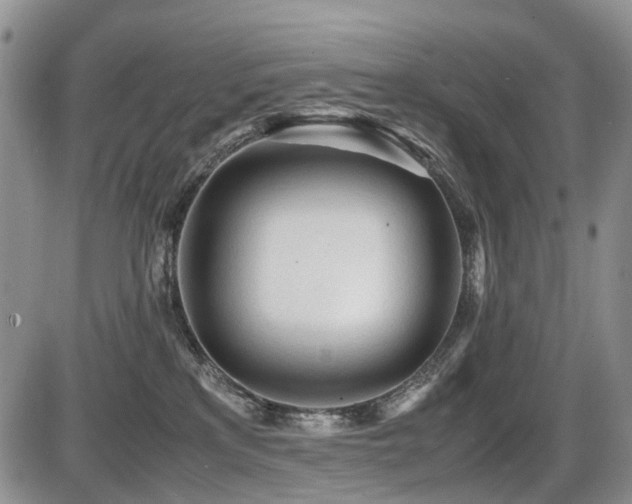 X0000086060233200703231250