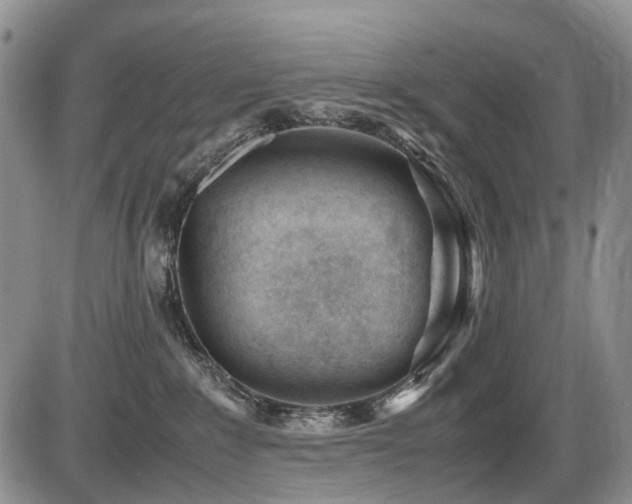 X0000086060235200703231250