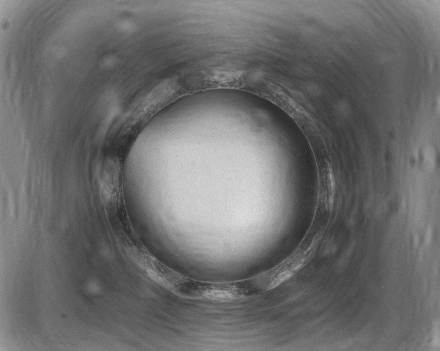 X0000086060236200703231250