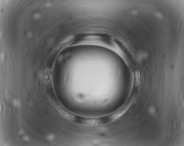 X0000086060237200703231250