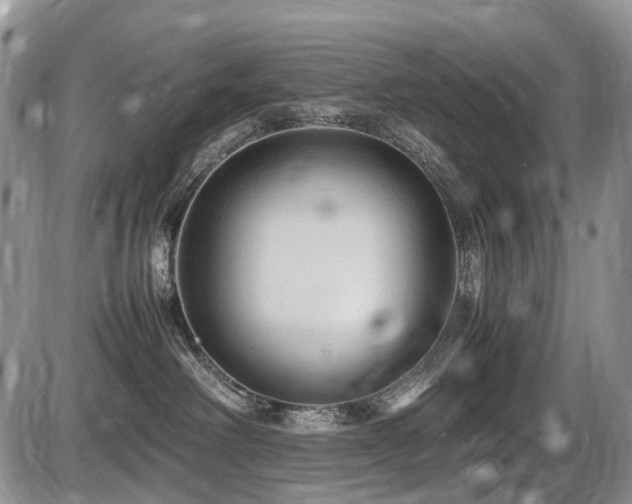 X0000086060238200703231250