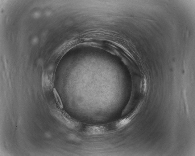 X0000086060239200703231250