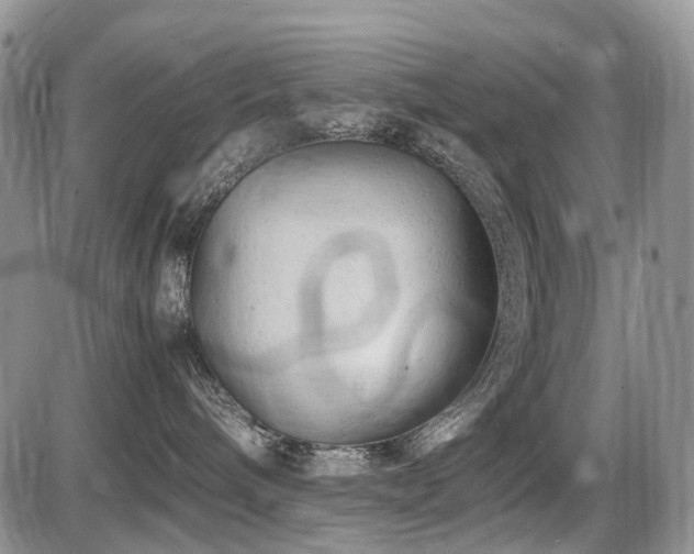 X0000086060240200703231250