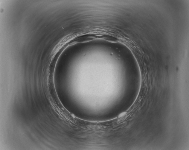 X0000086060242200703231249