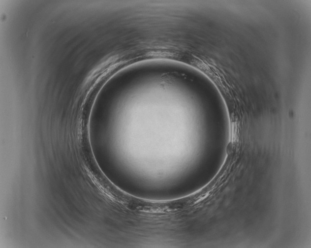 X0000086060243200703231249