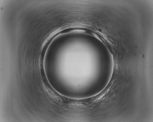 X0000086060244200703231249