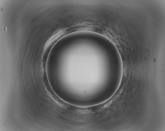 X0000086060245200703231249