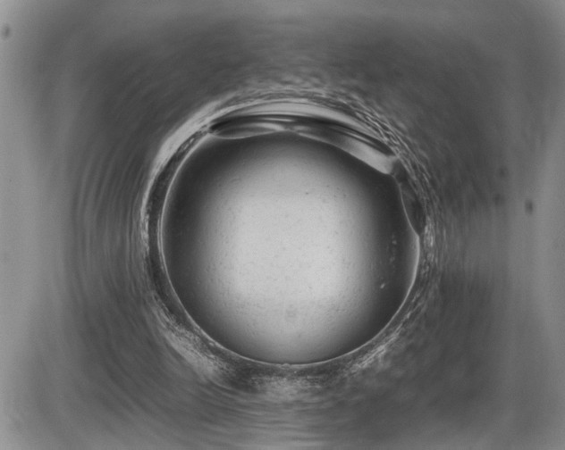 X0000086060246200703231249