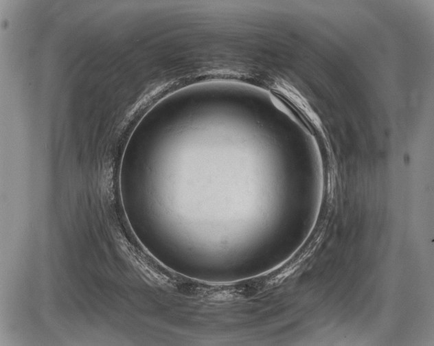 X0000086060249200703231249