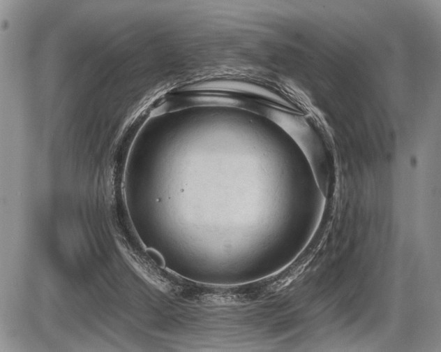 X0000086060250200703231249