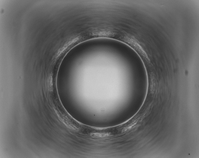 X0000086060251200703231249