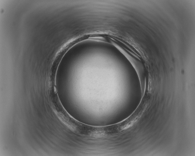 X0000086060252200703231249