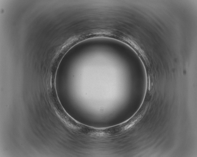 X0000086060253200703231249