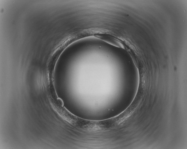 X0000086060254200703231249