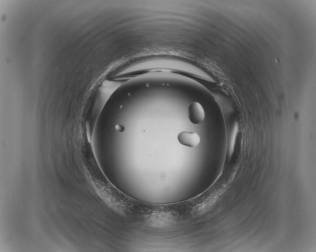 X0000086060256200703231249