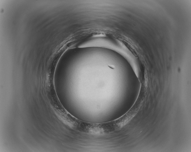 X0000086060258200703231249