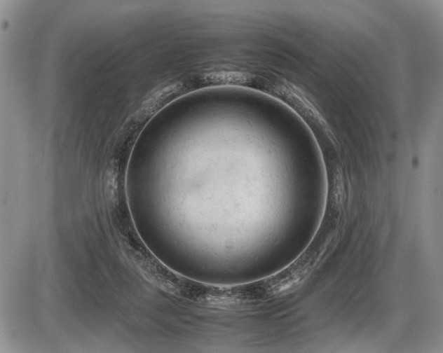 X0000086060259200703231249