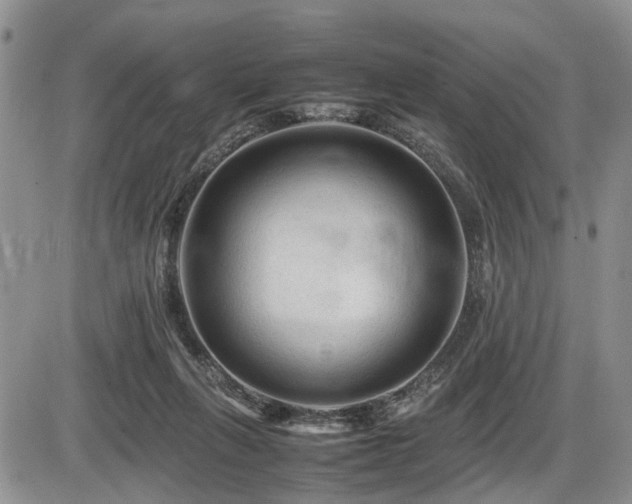 X0000086060263200703231249