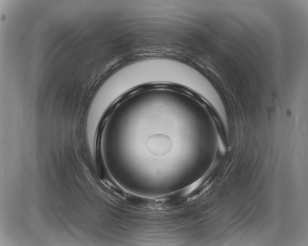 X0000086060264200703231249