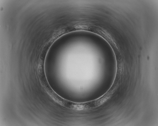 X0000086060265200703231249