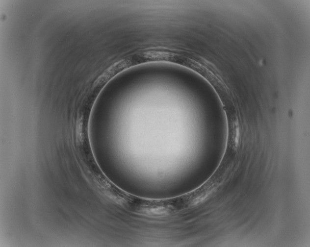 X0000086060267200703231249