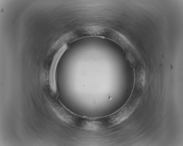 X0000086060268200703231249