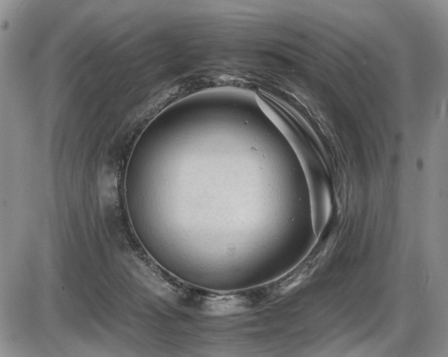 X0000086060269200703231249