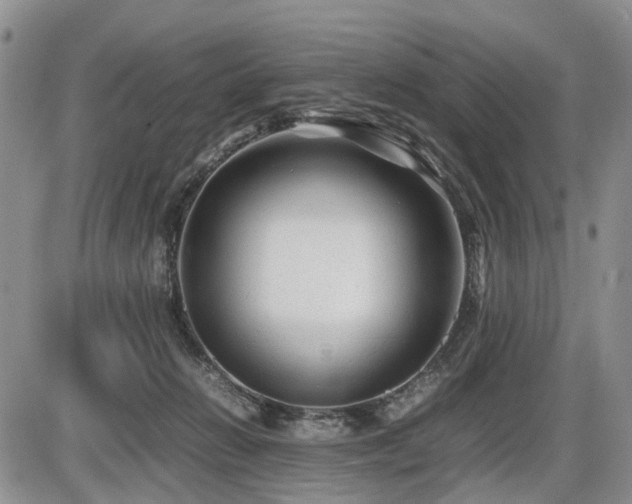 X0000086060270200703231249