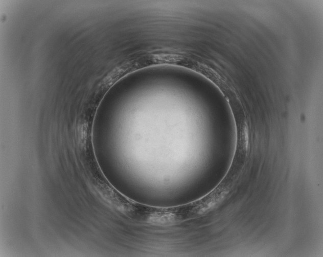 X0000086060271200703231249