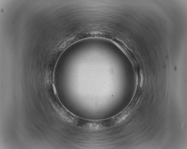 X0000086060272200703231249