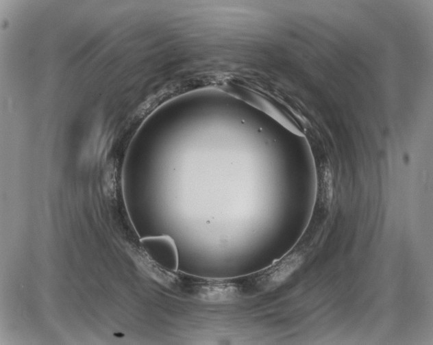 X0000086060274200703231249