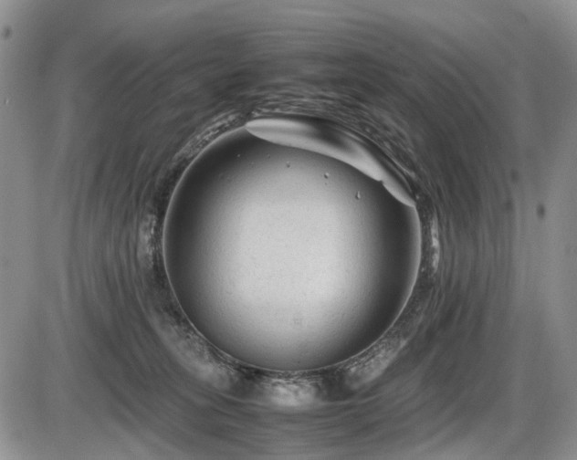 X0000086060275200703231249