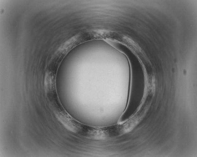 X0000086060276200703231249