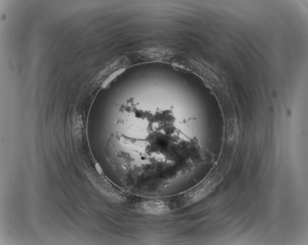 X0000086060279200703231249