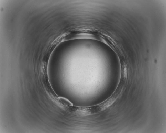 X0000086060280200703231249