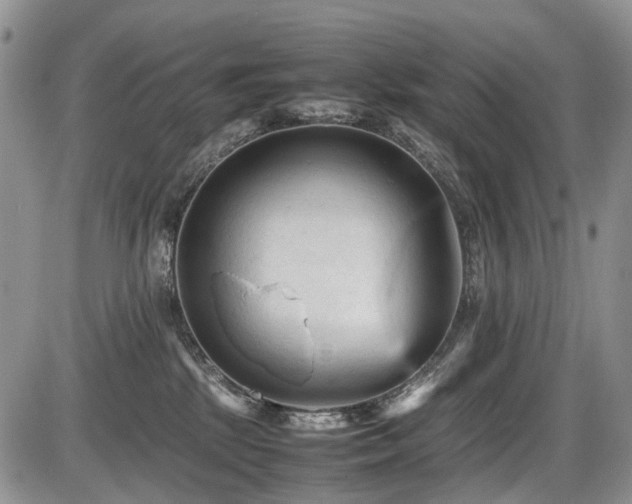 X0000086060281200703231249