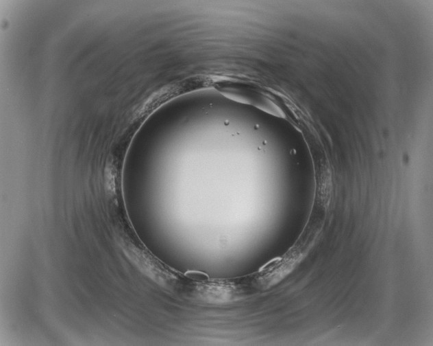 X0000086060282200703231249