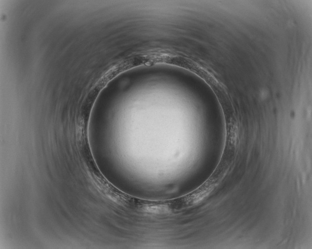 X0000086060283200703231249