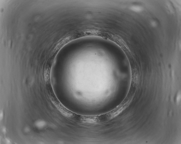 X0000086060285200703231249