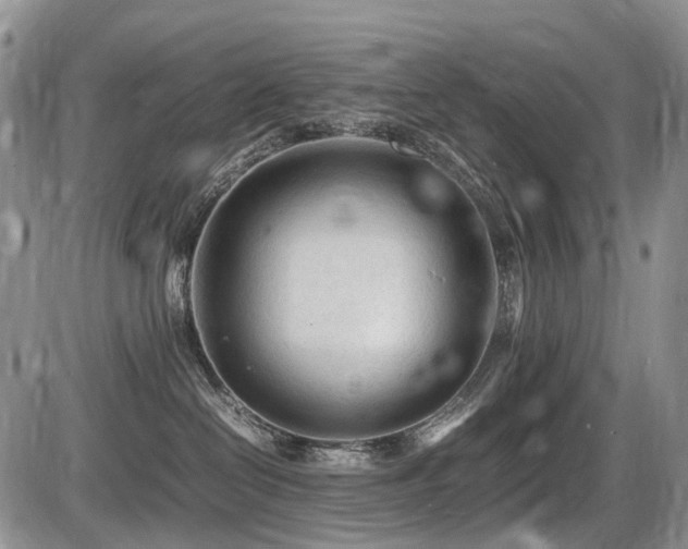 X0000086060286200703231249