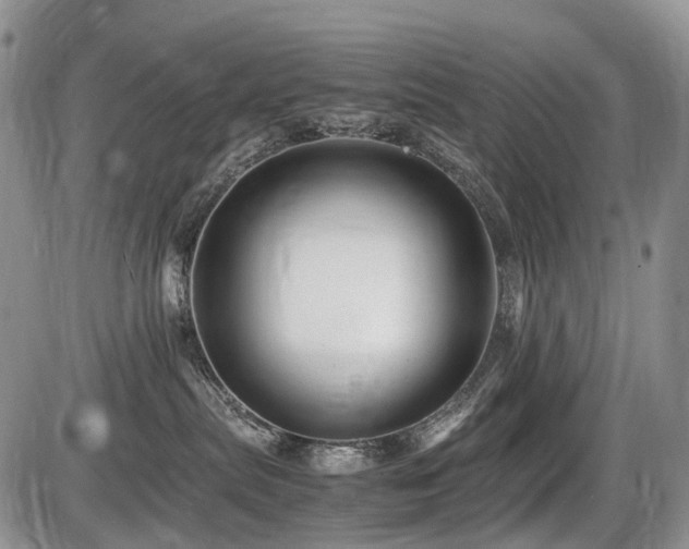 X0000086060287200703231249