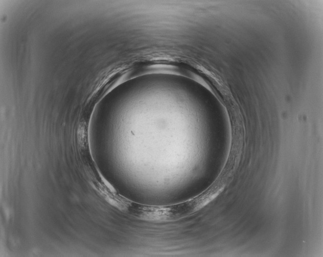 X0000086060288200703231250