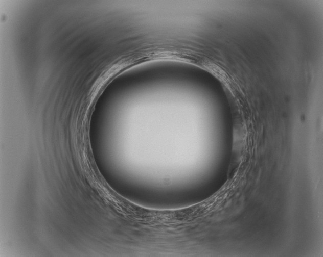 X0000086060289200703231249